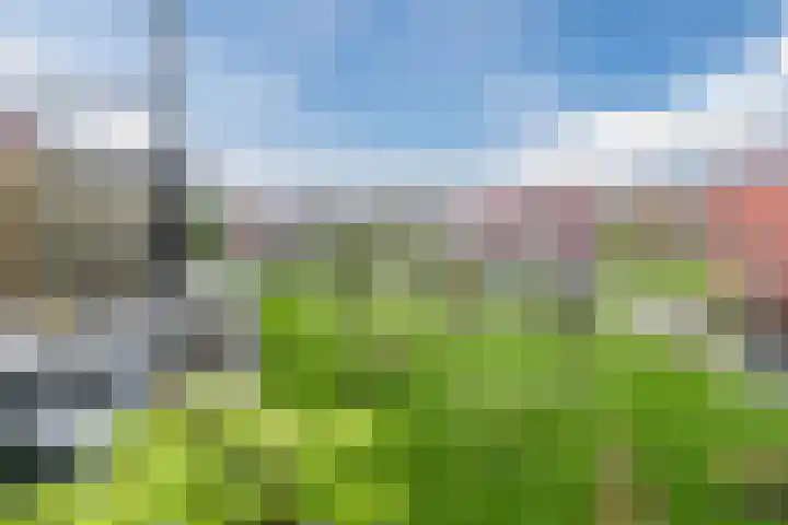 Karper 72 Amersfoort thumbnail 4