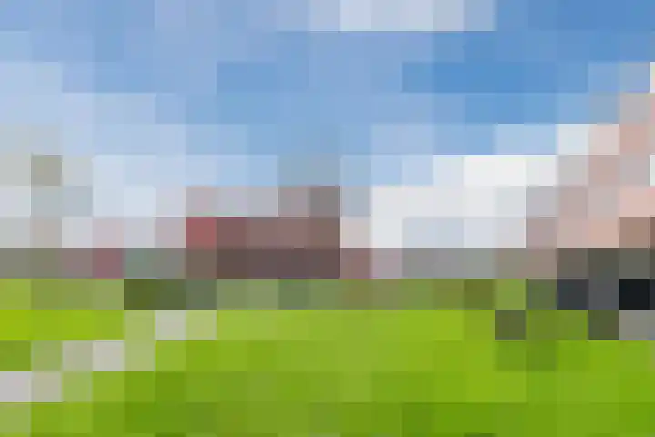 Karper 72 Amersfoort thumbnail 40
