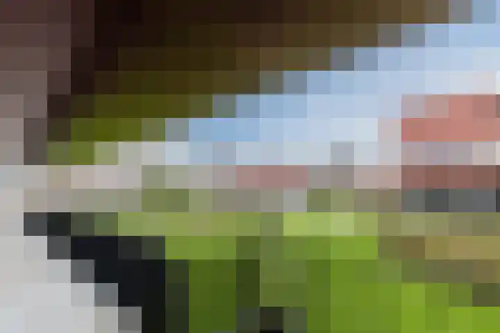 Karper 72 Amersfoort thumbnail 5