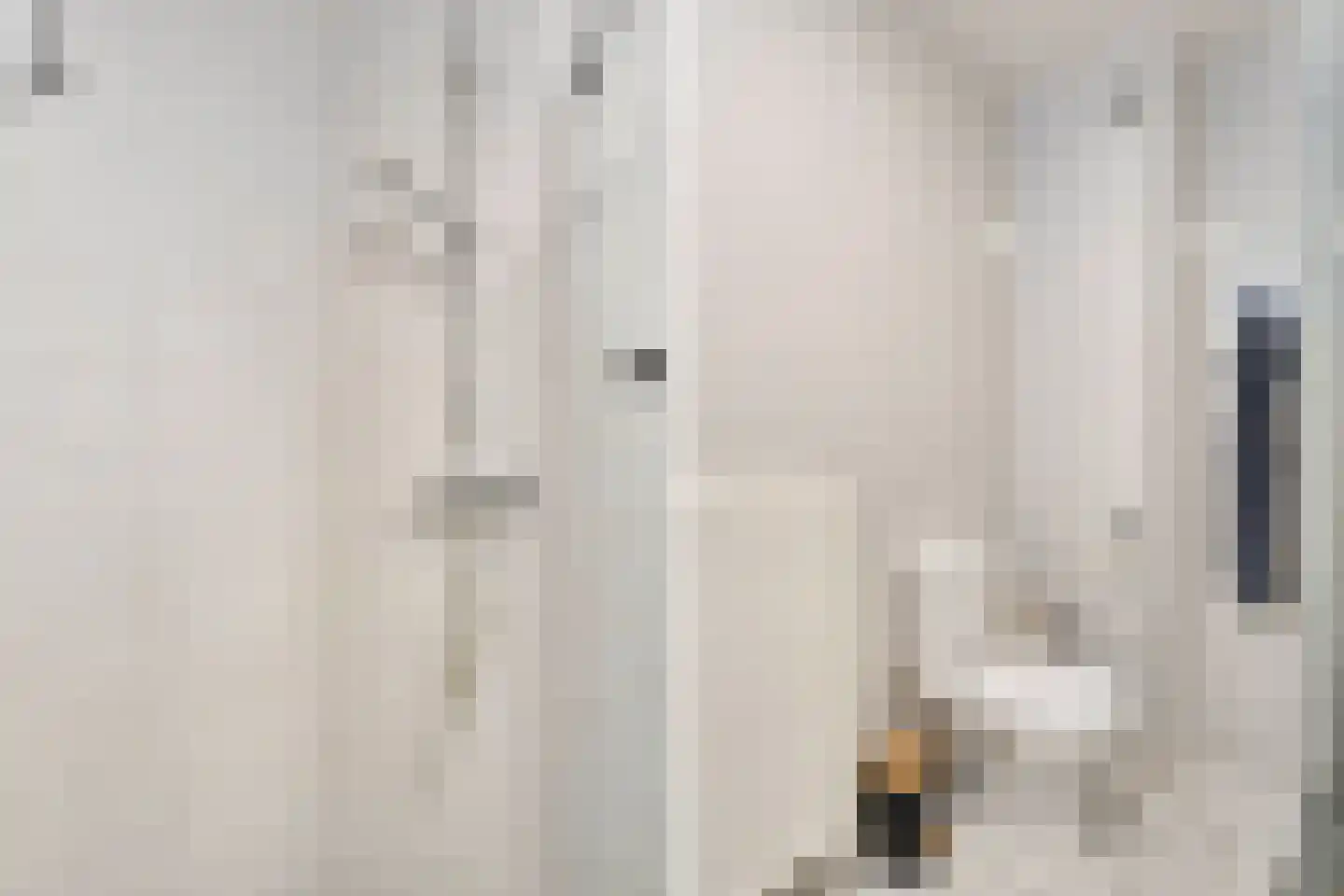 Karper 80 Amersfoort thumbnail 31
