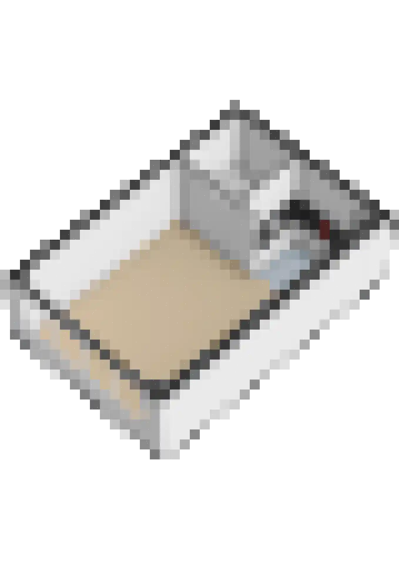 Karper 80 Amersfoort thumbnail 47