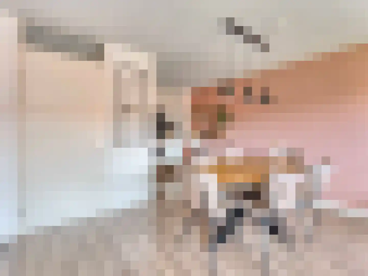 Karper 80 Amersfoort thumbnail 5