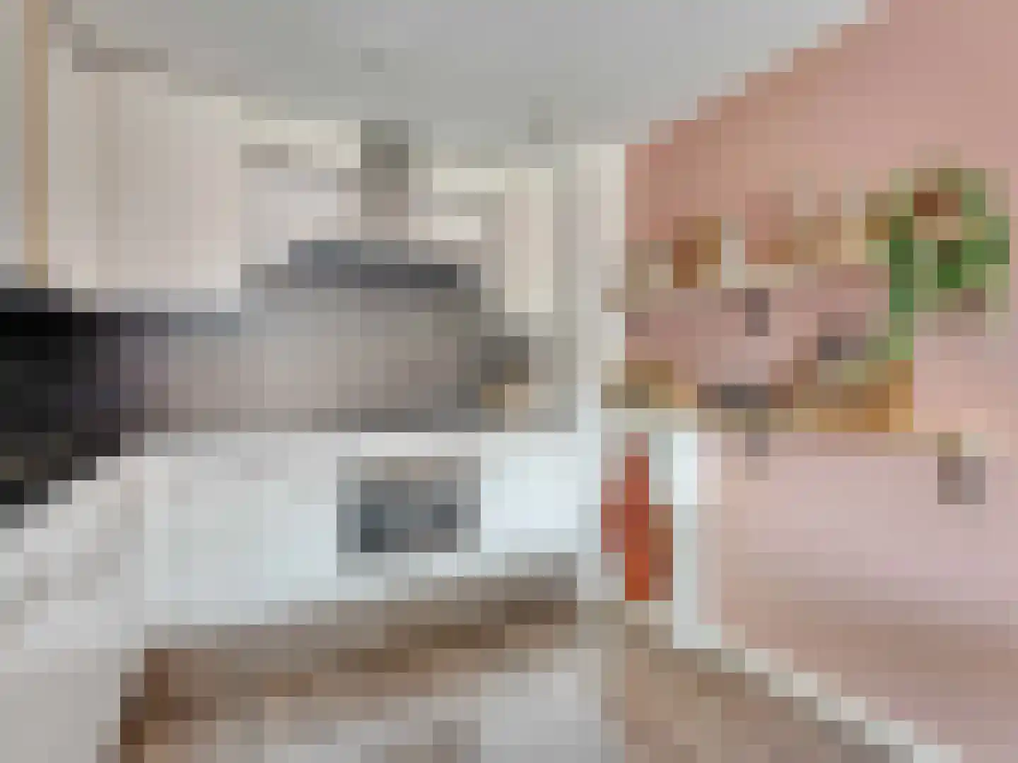 Karper 80 Amersfoort thumbnail 6