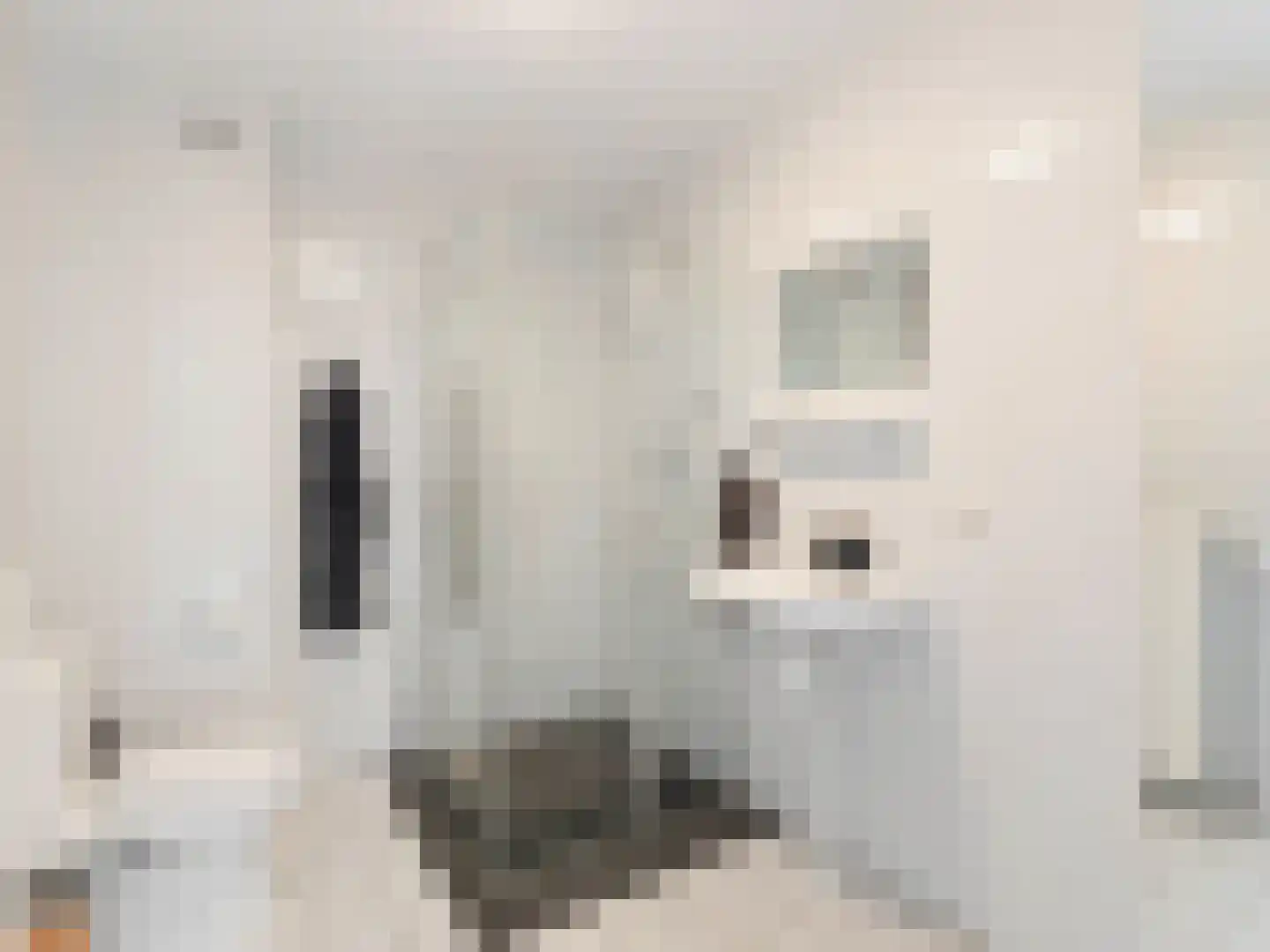 Karper 80 Amersfoort thumbnail 8