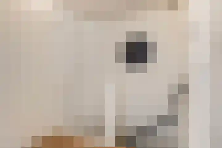 Karper 89 Amersfoort thumbnail 21
