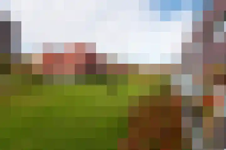 Karper 89 Amersfoort thumbnail 22