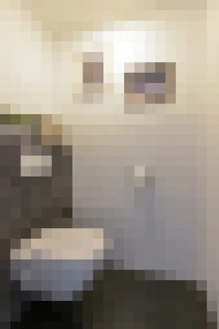 Karper 89 Amersfoort thumbnail 25