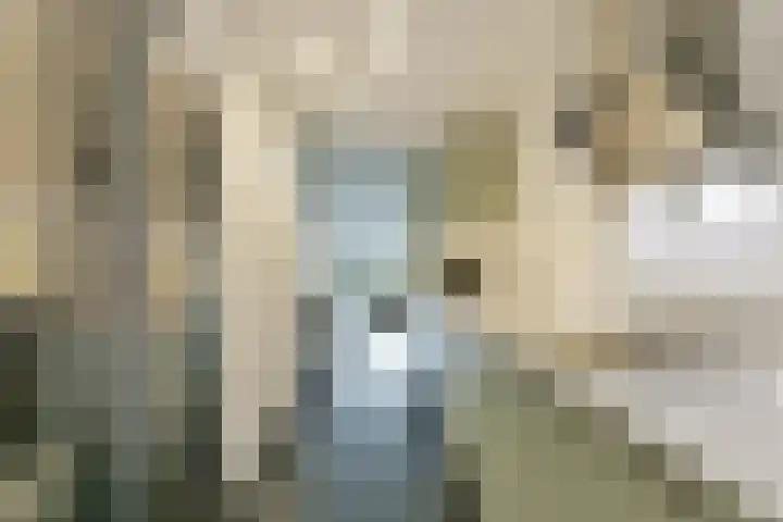 Karper 89 Amersfoort foto 3