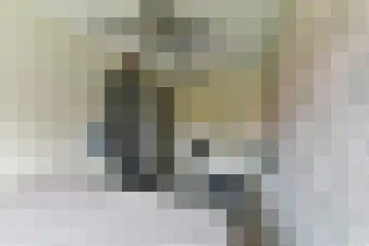Karper 89 Amersfoort thumbnail 31