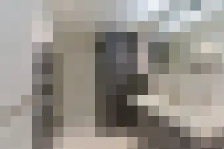 Karper 89 Amersfoort thumbnail 36