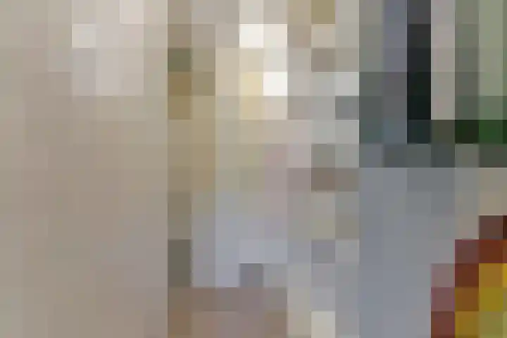Karper 89 Amersfoort thumbnail 38