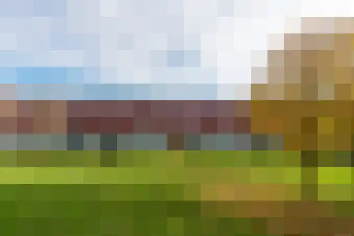 Karper 89 Amersfoort thumbnail 42