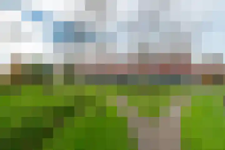 Karper 89 Amersfoort thumbnail 44
