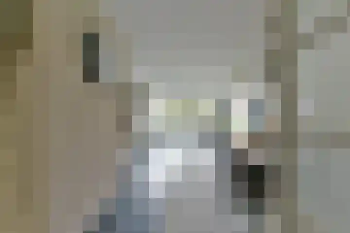 Karper 89 Amersfoort thumbnail 7