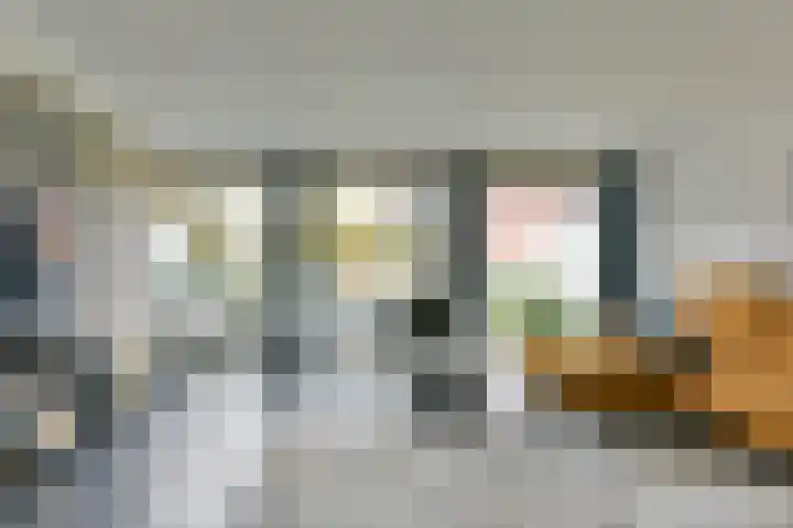 Karper 89 Amersfoort thumbnail 8