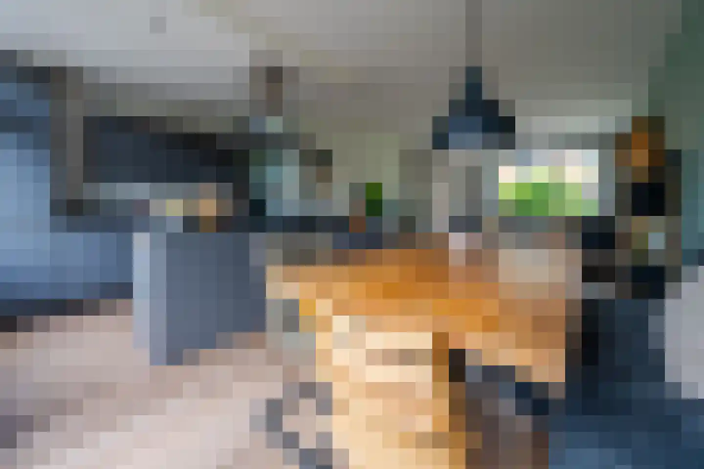 Karper 9 Leusden thumbnail 10