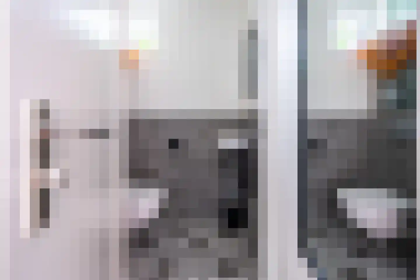 Karper 9 Leusden thumbnail 17