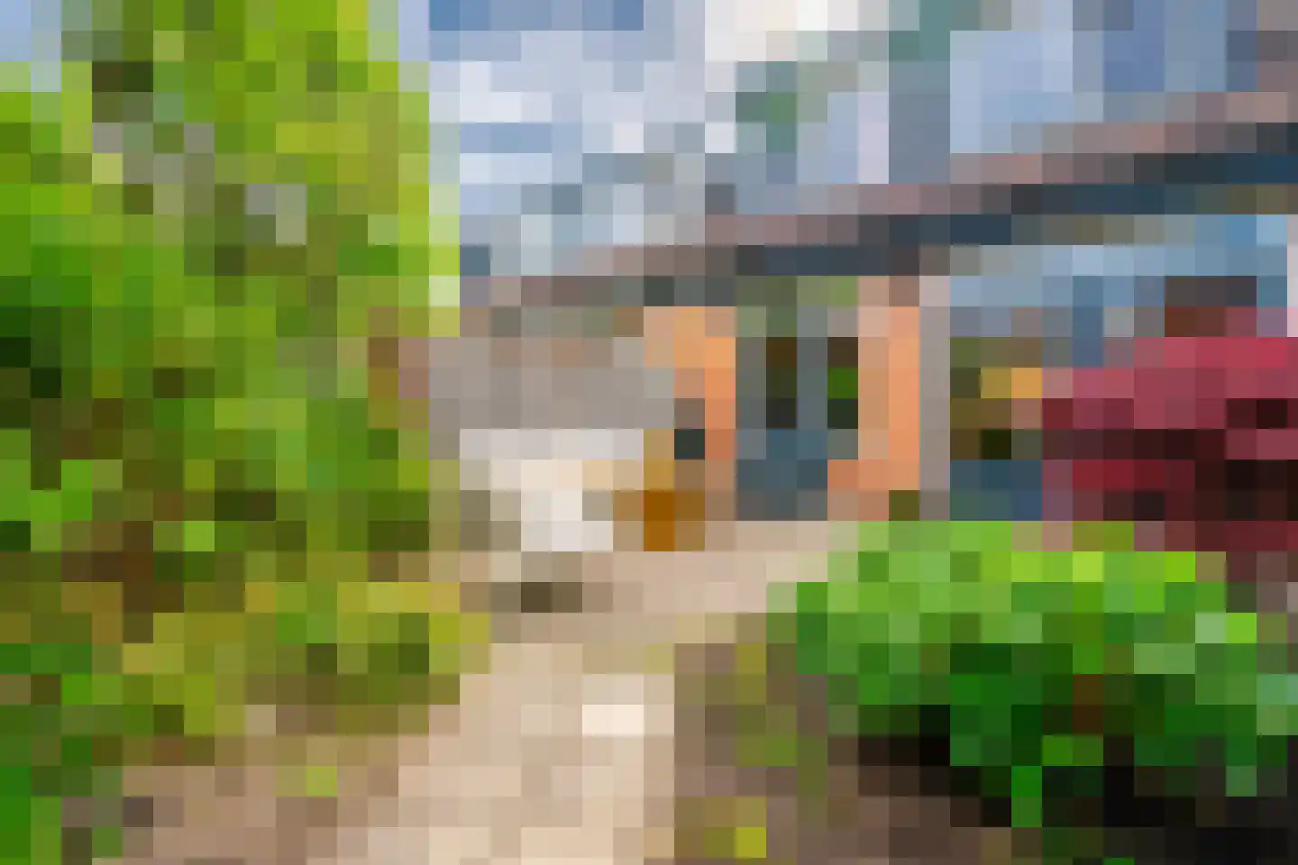Karper 9 Leusden thumbnail 32