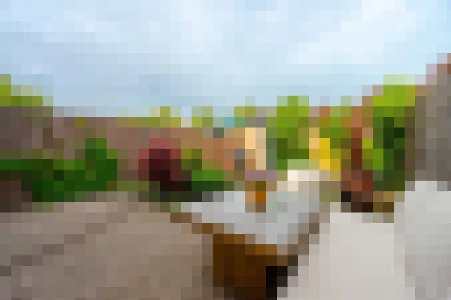 Karper 9 Leusden thumbnail 33