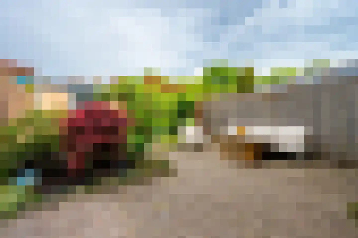 Karper 9 Leusden thumbnail 34