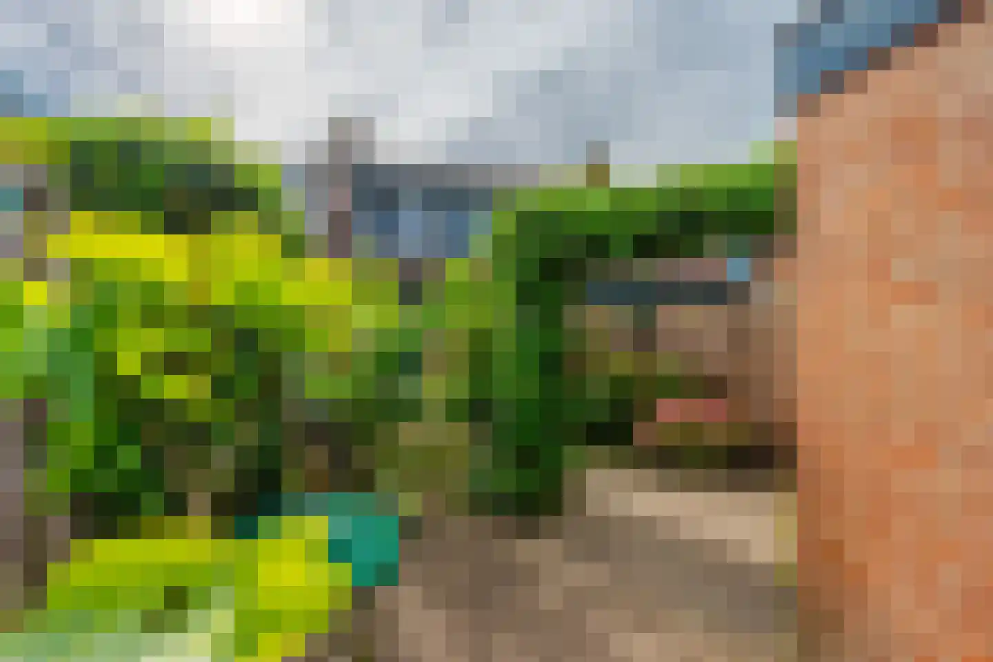 Karper 9 Leusden thumbnail 37