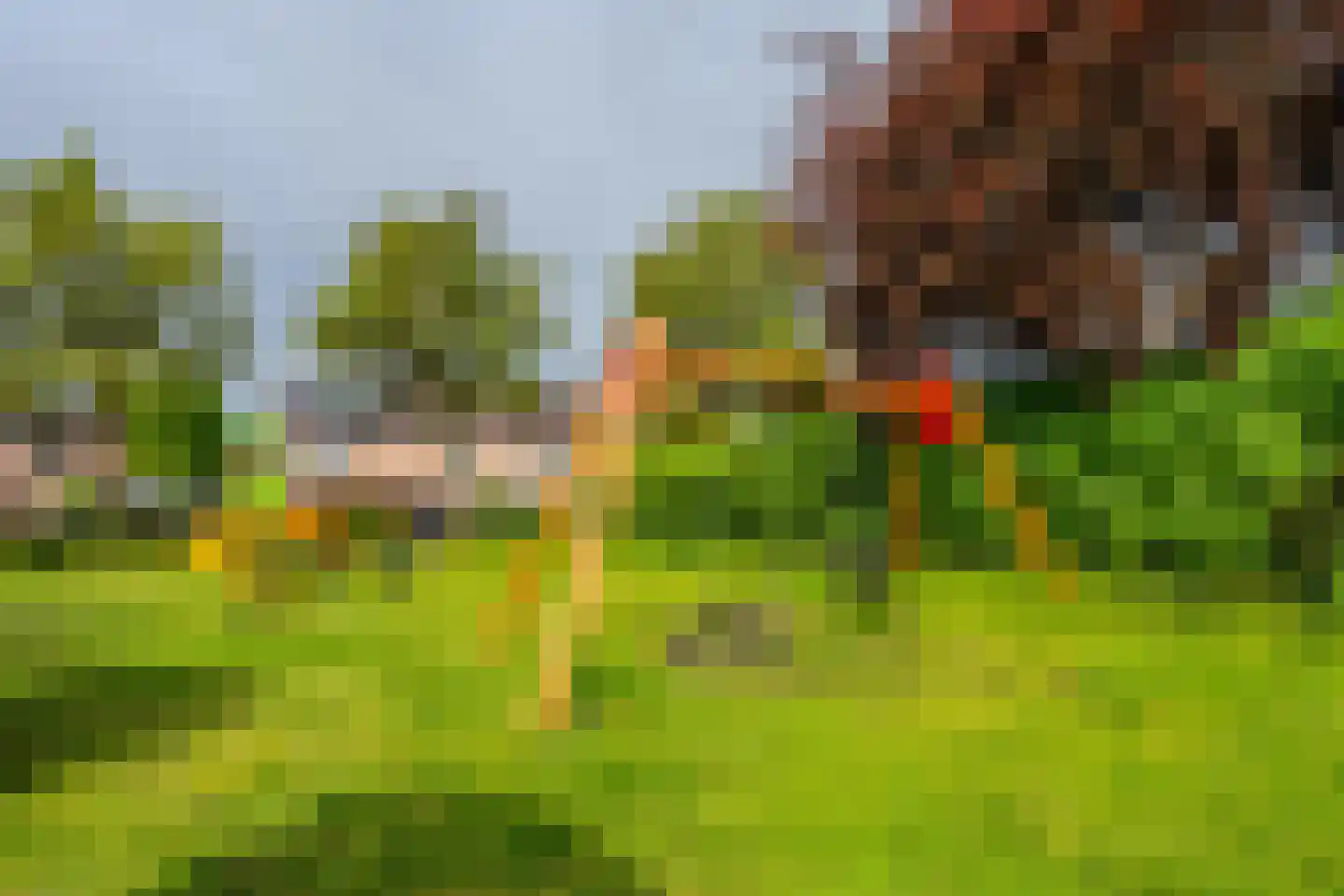 Karper 9 Leusden thumbnail 40