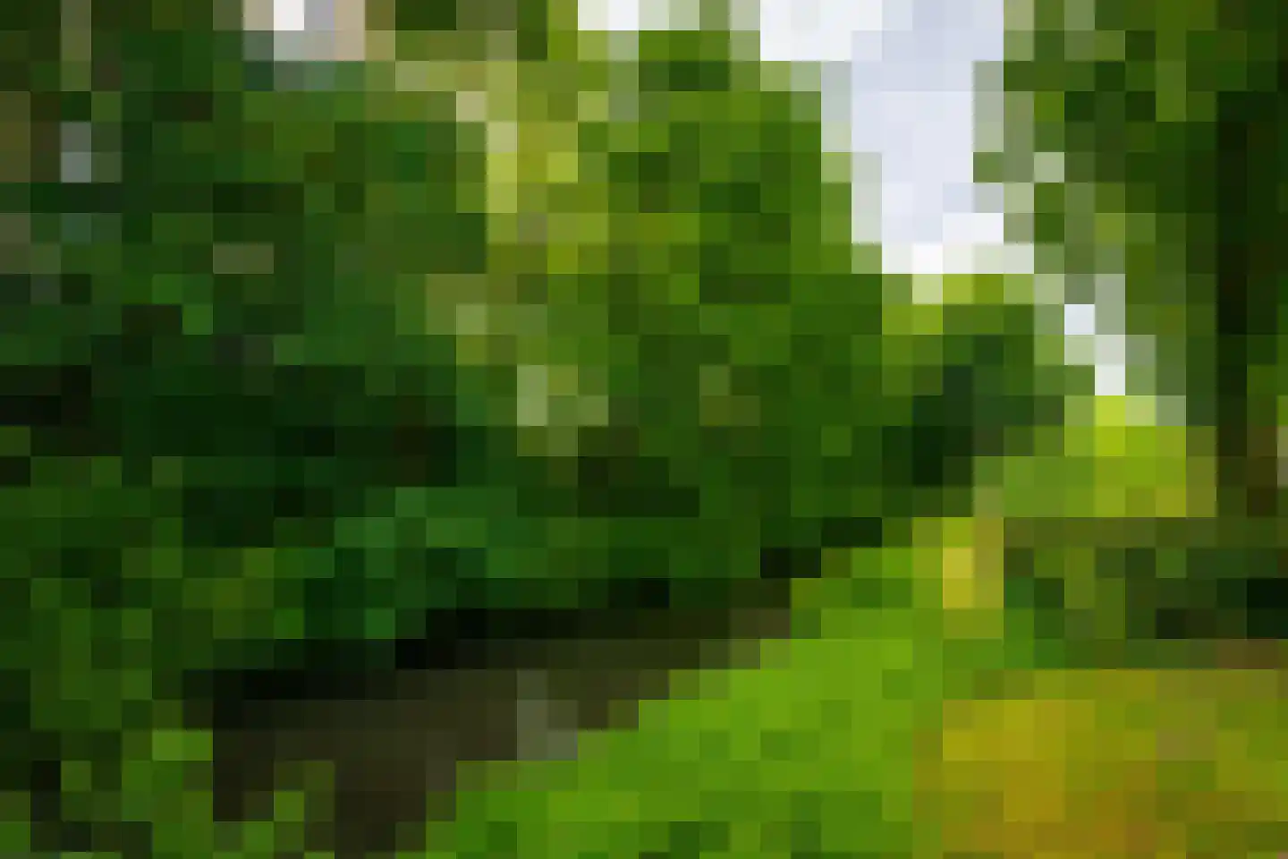Karper 9 Leusden thumbnail 41