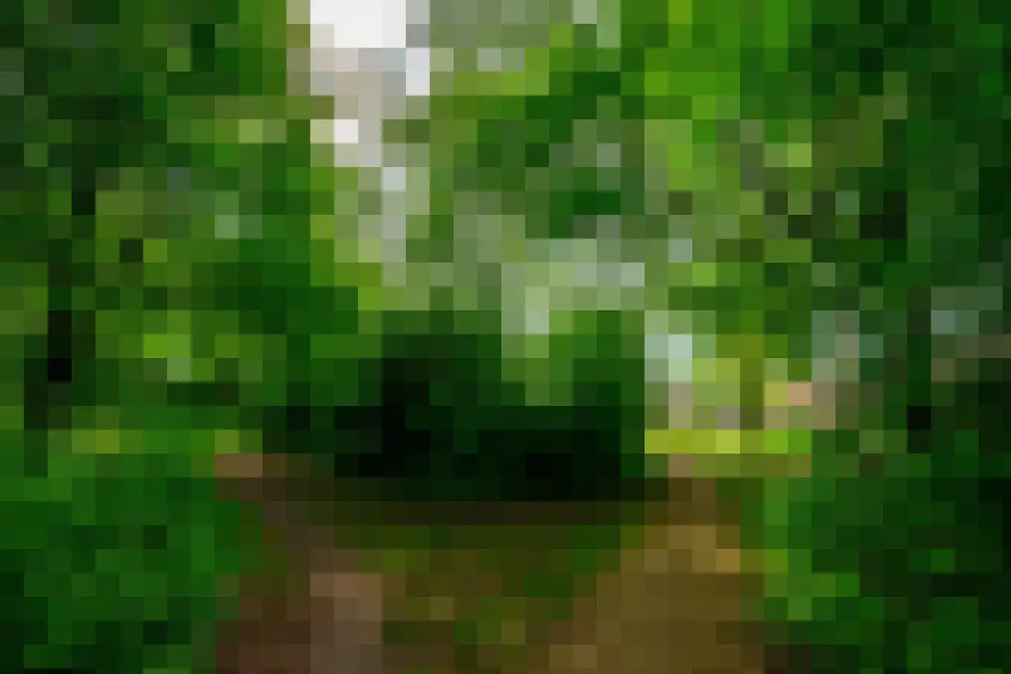 Karper 9 Leusden thumbnail 42