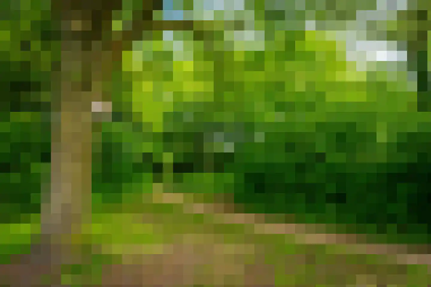 Karper 9 Leusden thumbnail 43