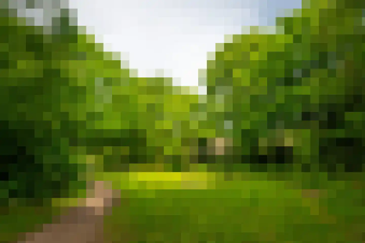 Karper 9 Leusden thumbnail 44