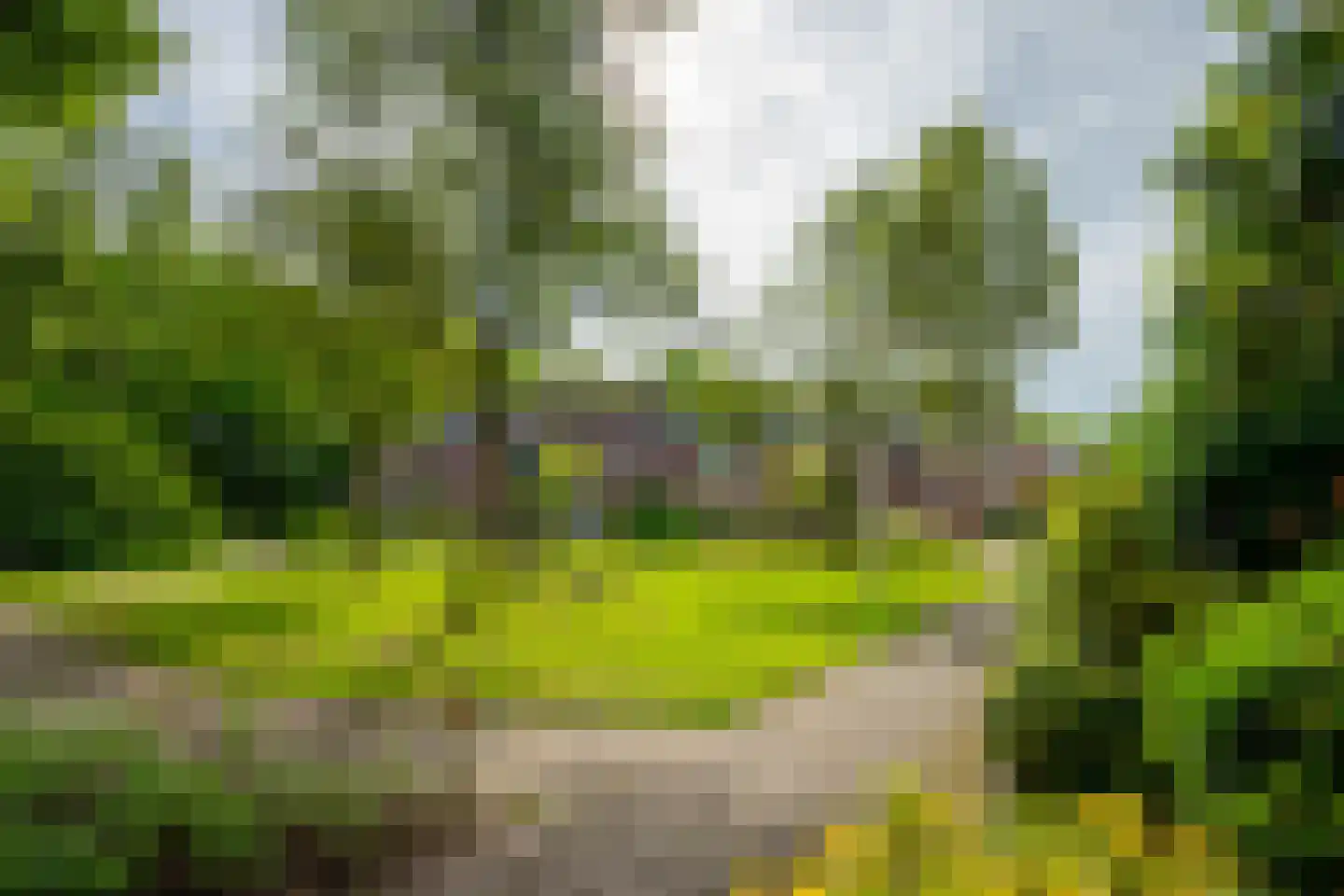 Karper 9 Leusden thumbnail 45