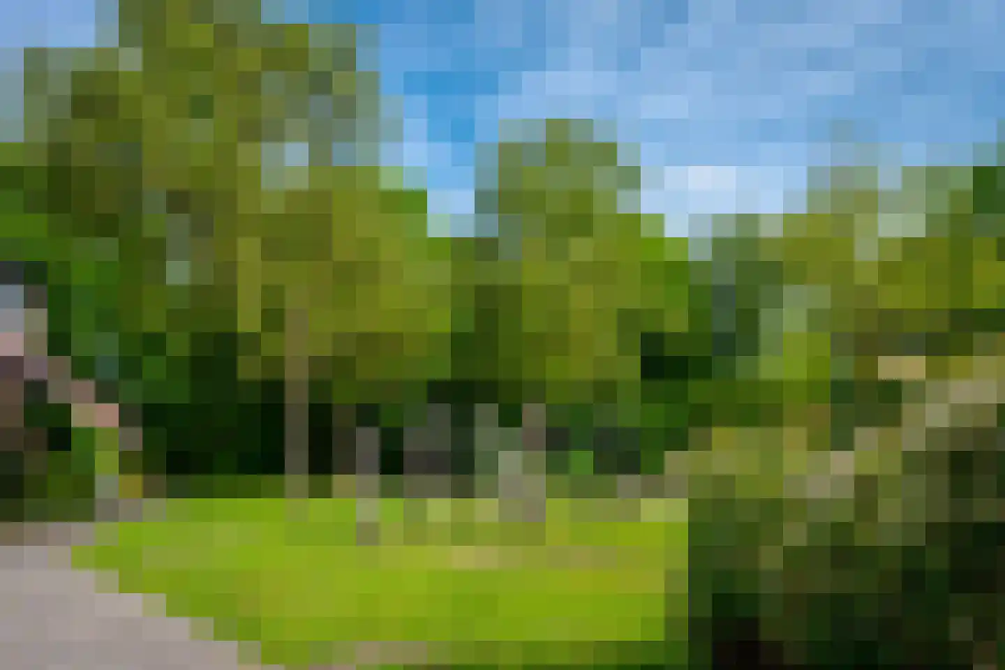 Karper 9 Leusden thumbnail 46