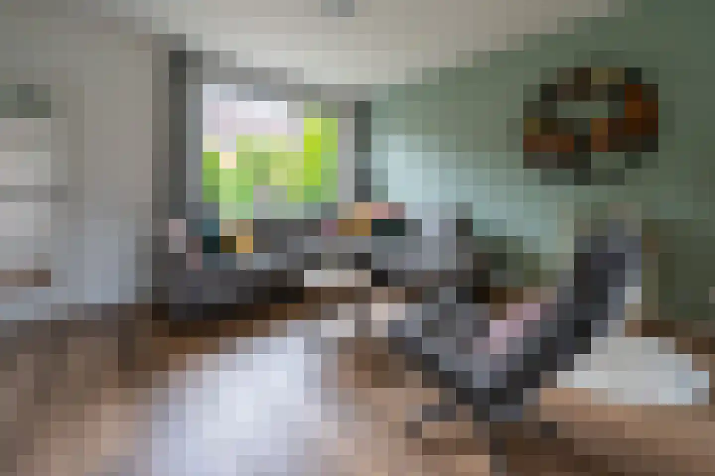 Karper 9 Leusden thumbnail 6