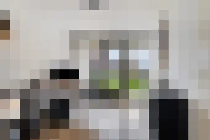 Karper 92 Amersfoort thumbnail 17