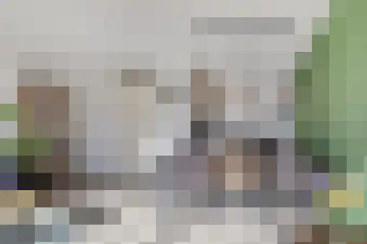 Karper 92 Amersfoort thumbnail 9