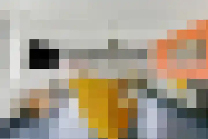 Karper 98 Amersfoort thumbnail 21
