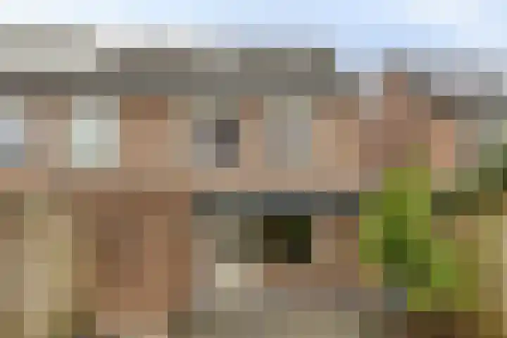 Karperborch 23 Rosmalen thumbnail 30
