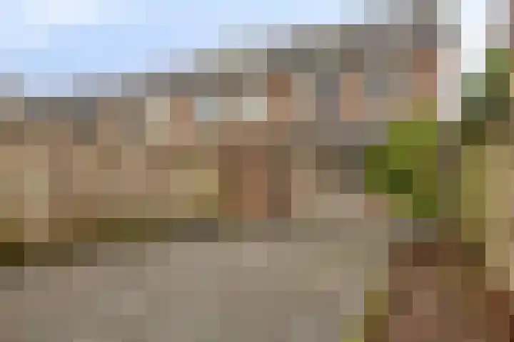 Karperborch 23 Rosmalen thumbnail 31