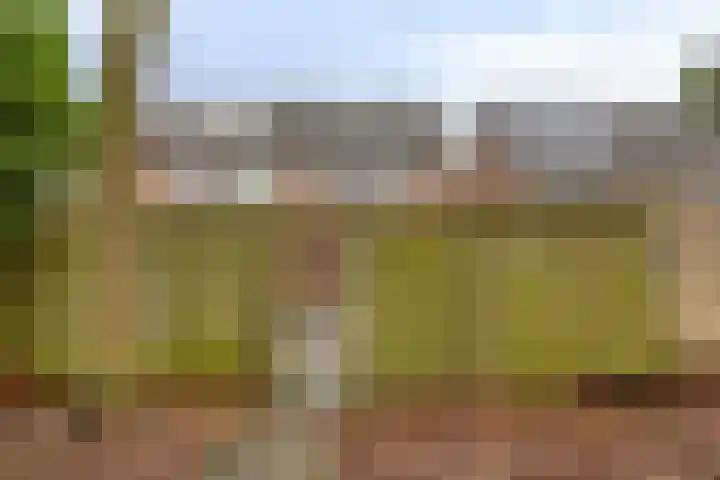 Karperborch 23 Rosmalen thumbnail 32