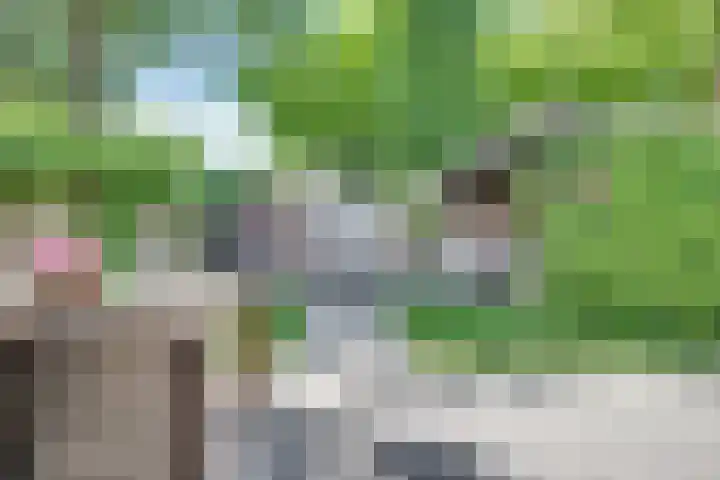 Karperborch 25 Rosmalen thumbnail 21