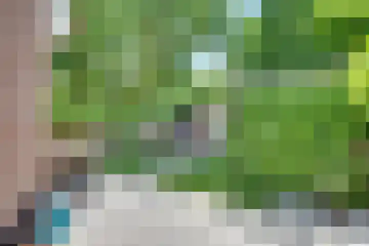 Karperborch 25 Rosmalen thumbnail 24