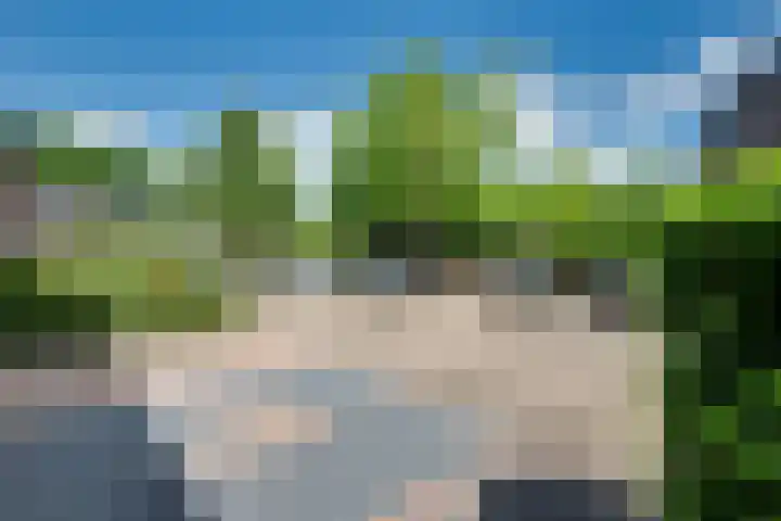Karperborch 25 Rosmalen thumbnail 28