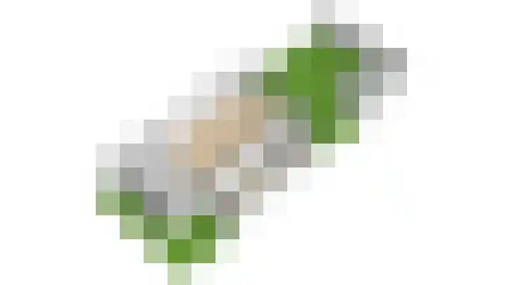 Karperborch 25 Rosmalen thumbnail 36