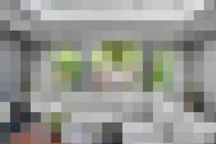 Karperborch 25 Rosmalen thumbnail 6
