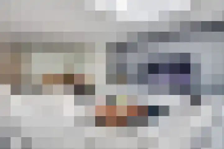 Karperborch 25 Rosmalen thumbnail 7