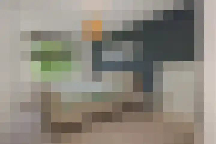 Karperborch 31 Rosmalen thumbnail 17