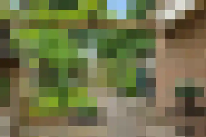 Karperborch 31 Rosmalen thumbnail 27