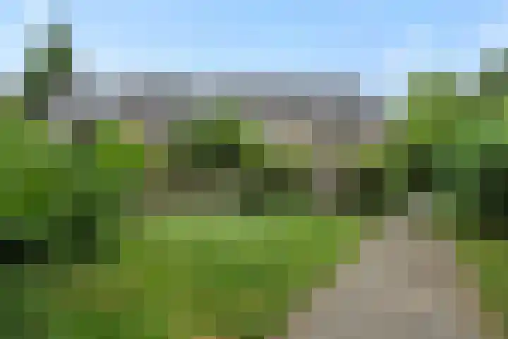 Karperborch 31 Rosmalen thumbnail 30