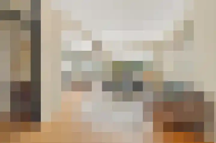 Karperdaal 147 Den Haag thumbnail 5