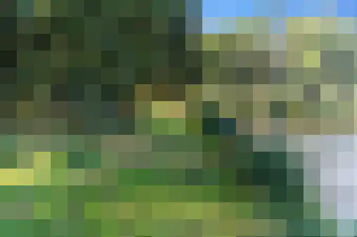 Karperdaal 147 Den Haag thumbnail 53